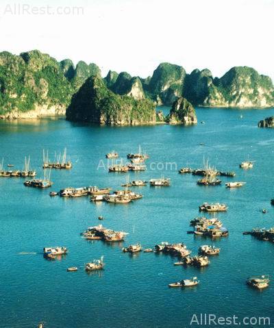 Halong Plaza 40